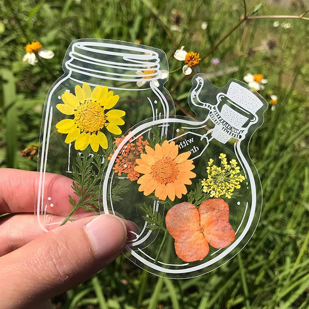 30Pcs DIY Transparent Dried Fl - Dried Flower Bookmark recensione e prezzo