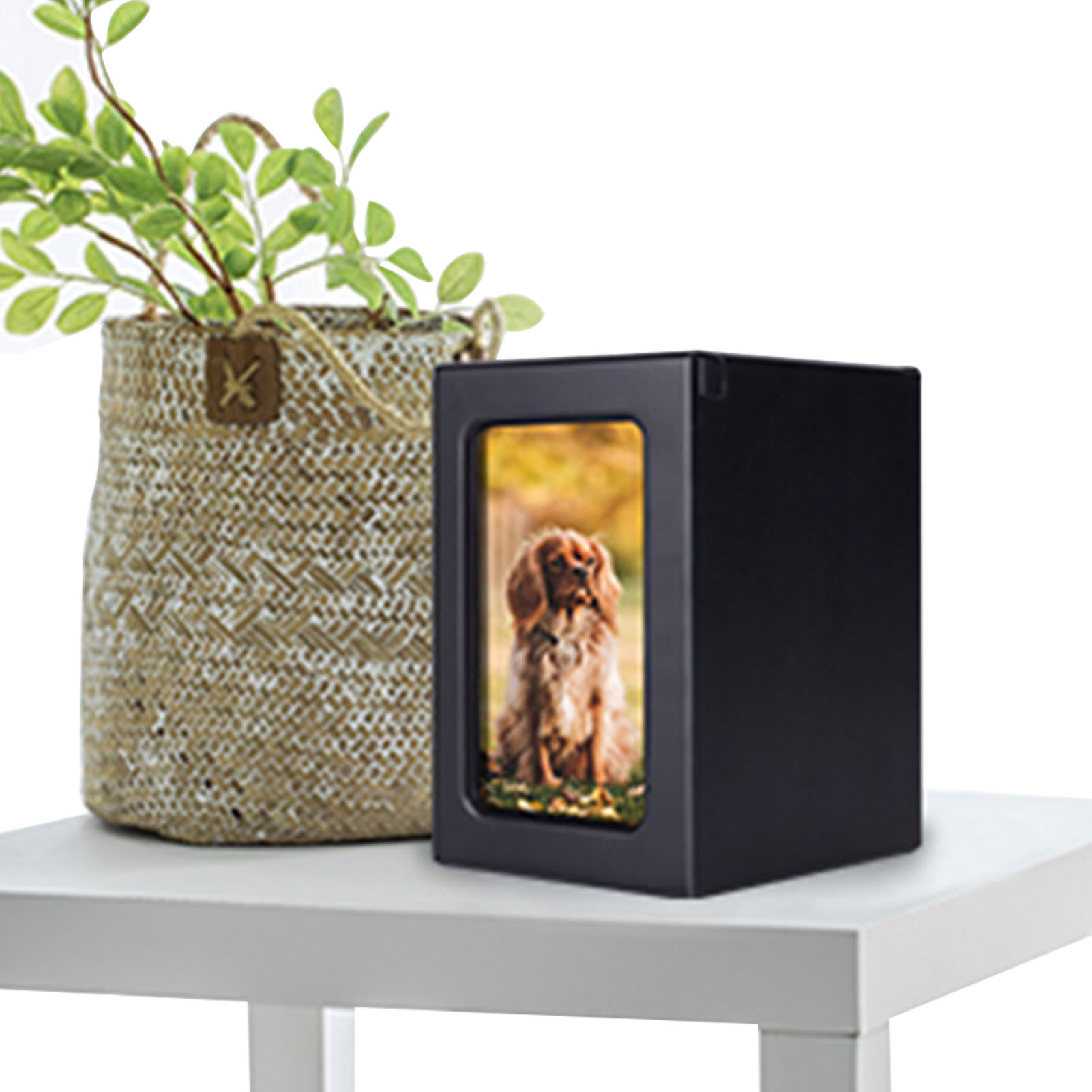 Wooden Pet Urns Wooden Cremati - Engraved Wood Frame recensione e prezzo