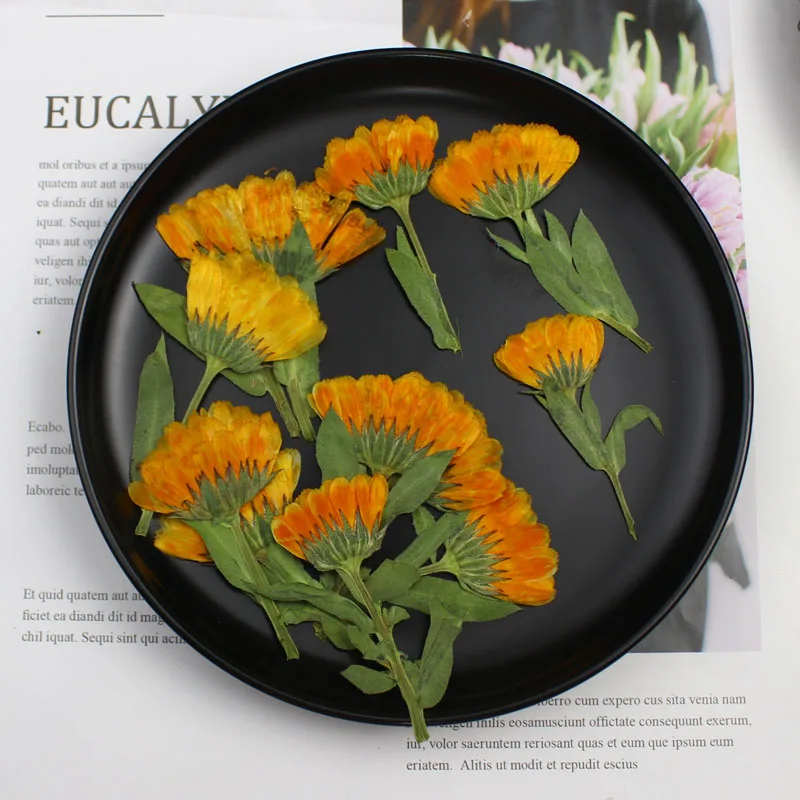 60pcs 4-6cm Side Pressed Dried - Dried Flower Bookmark recensione e prezzo