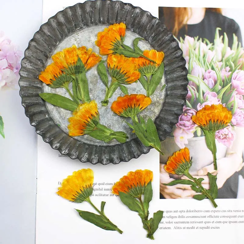 60pcs 4-6cm Side Pressed Dried - Dried Flower Bookmark recensione e prezzo