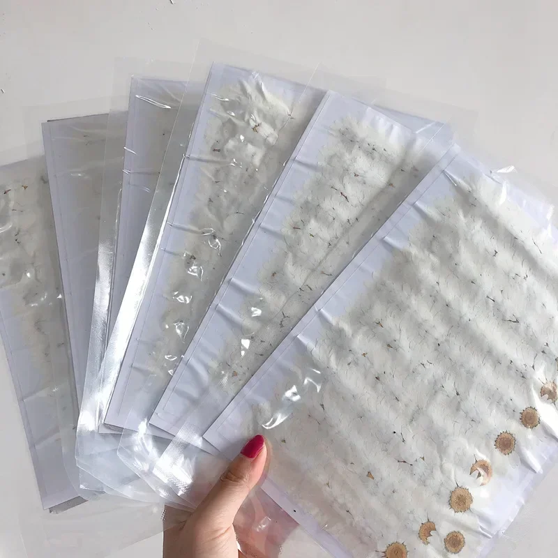 60X Pressed Dried Natural Whit - Dried Flower Bookmark recensione e prezzo