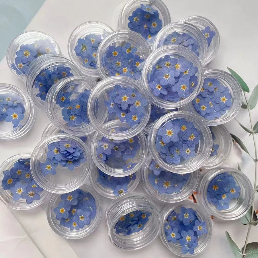 100pcs Pressed Dried Mini Blue - Dried Flower Bookmark recensione e prezzo