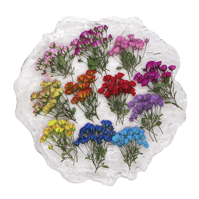 36X Pressed Dried Multi-heads  - Dried Flower Bookmark recensione e prezzo