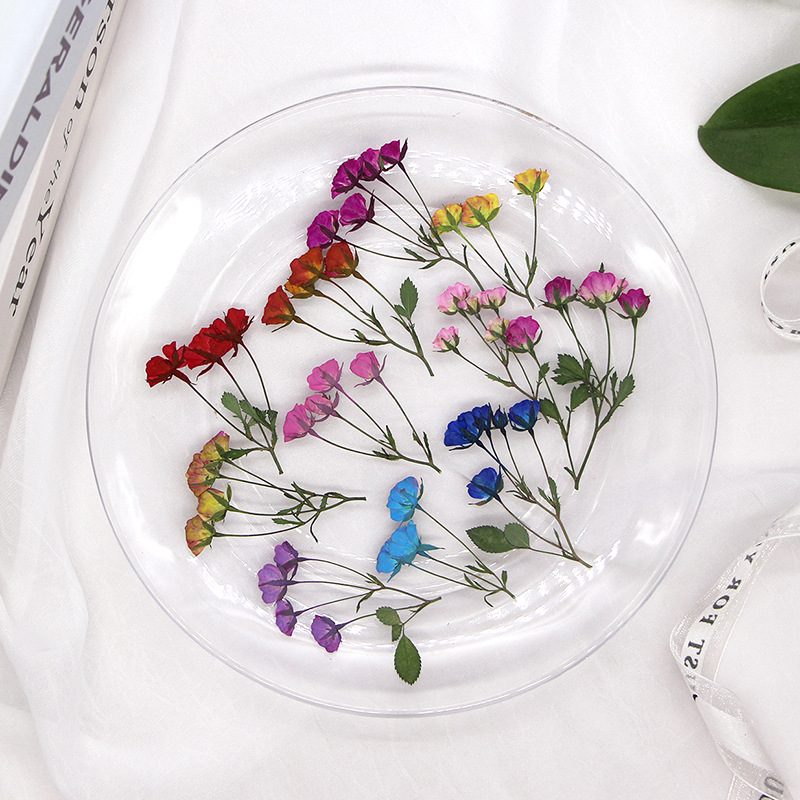 36X Pressed Dried Multi-heads  - Dried Flower Bookmark recensione e prezzo