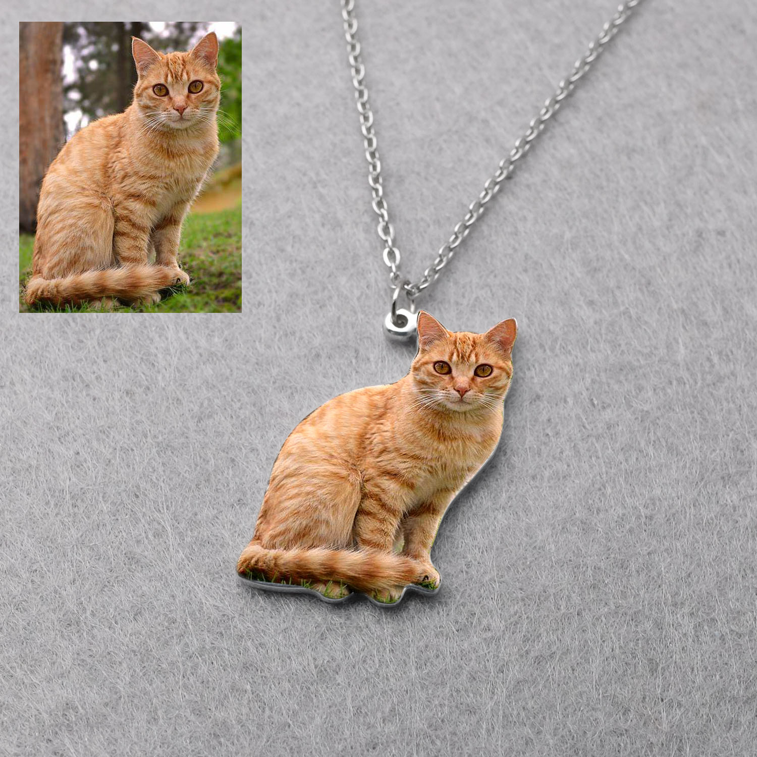 Personalized Pet Picture Neckl - Pet Portrait Custom recensione e prezzo
