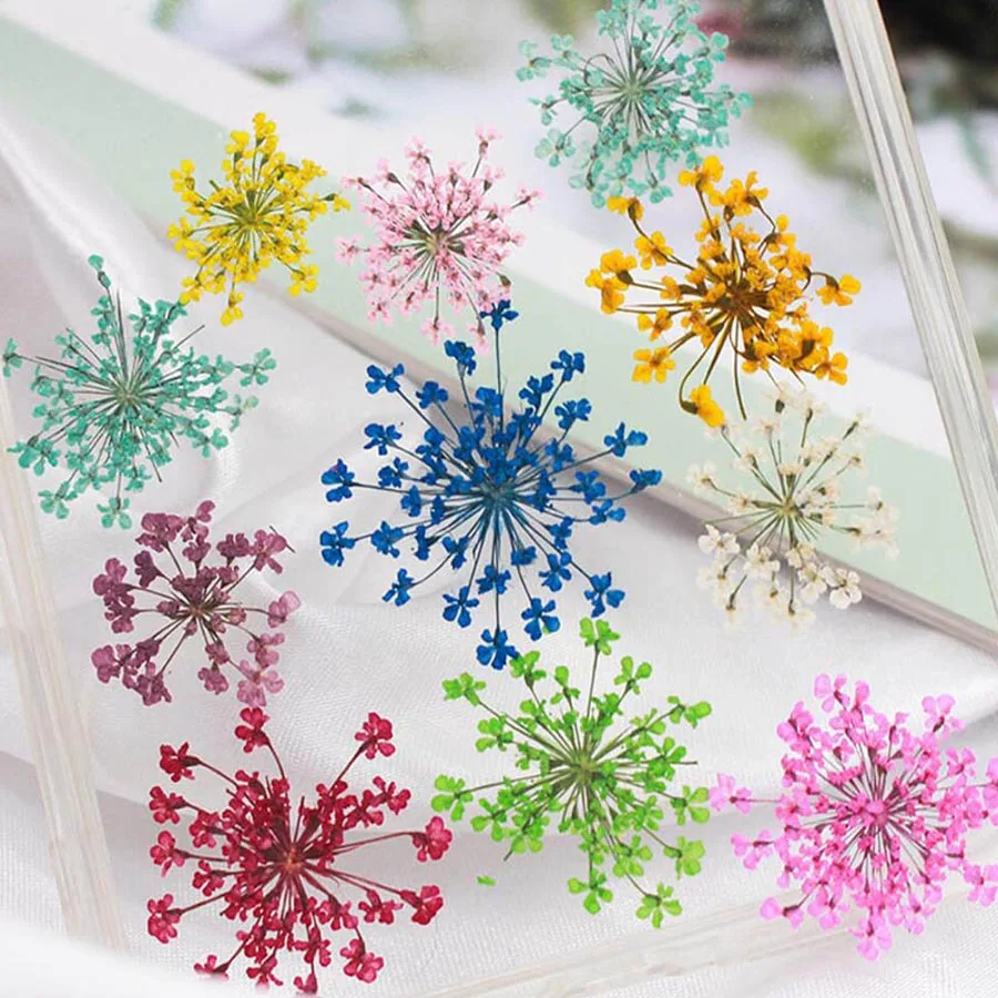 60pcs Pressed Dried 20-25mm Am - Dried Flower Bookmark recensione e prezzo