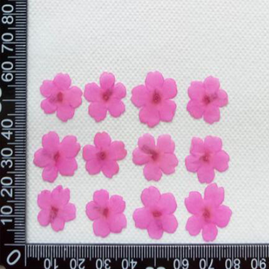 60pcs 1-2cm Pressed Dried Dyed - Dried Flower Bookmark recensione e prezzo
