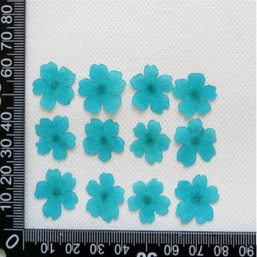 60pcs 1-2cm Pressed Dried Dyed - Dried Flower Bookmark recensione e prezzo