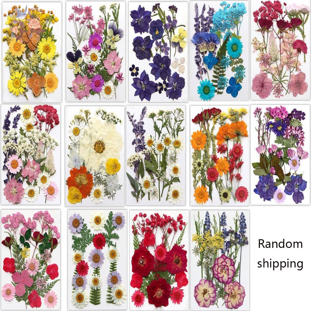 Handmade Pressed Dried Flowers - Dried Flower Bookmark recensione e prezzo