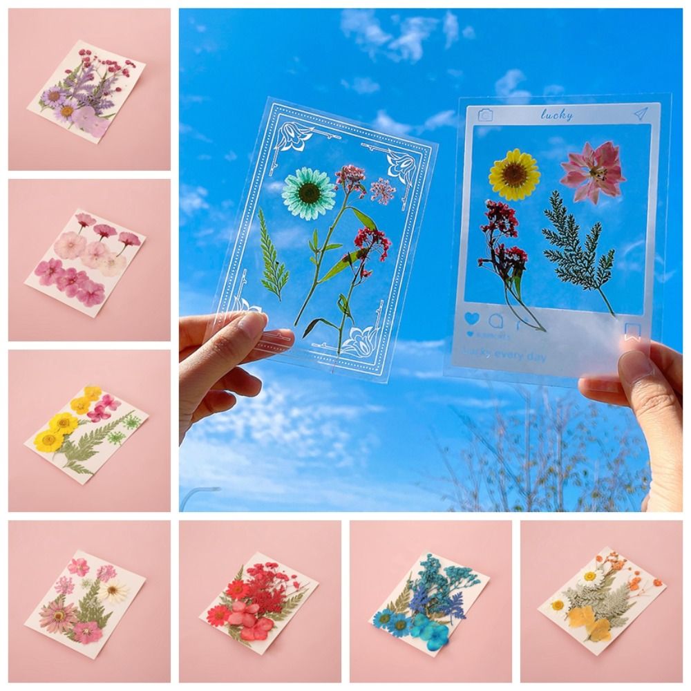 DIY Materials DIY Dried Flower - Dried Flower Bookmark recensione e prezzo