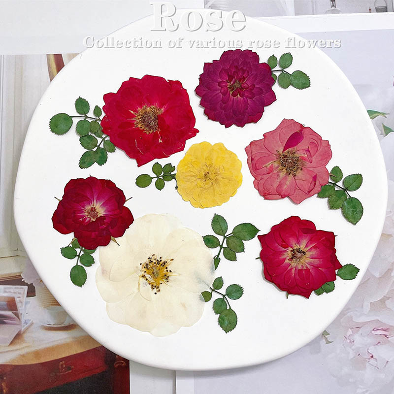 60pcs Pressed Dried Red Yellow - Dried Flower Bookmark recensione e prezzo