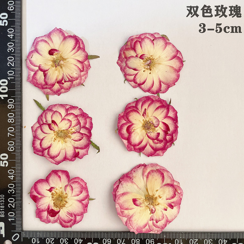 60pcs Pressed Dried Red Yellow - Dried Flower Bookmark recensione e prezzo