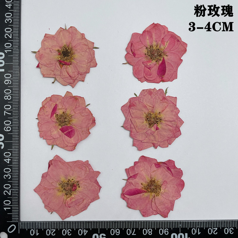 60pcs Pressed Dried Red Yellow - Dried Flower Bookmark recensione e prezzo