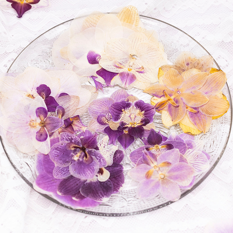 4 Pcs Pressed Dried Phalaenops - Dried Flower Bookmark recensione e prezzo
