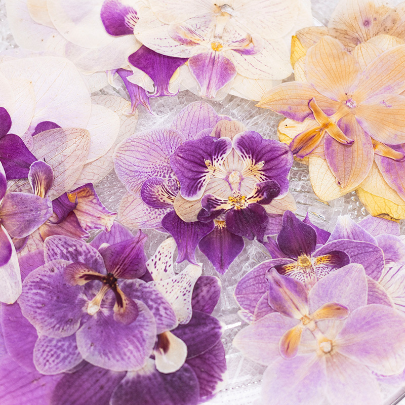 4 Pcs Pressed Dried Phalaenops - Dried Flower Bookmark recensione e prezzo