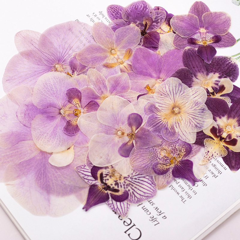 4 Pcs Pressed Dried Phalaenops - Dried Flower Bookmark recensione e prezzo