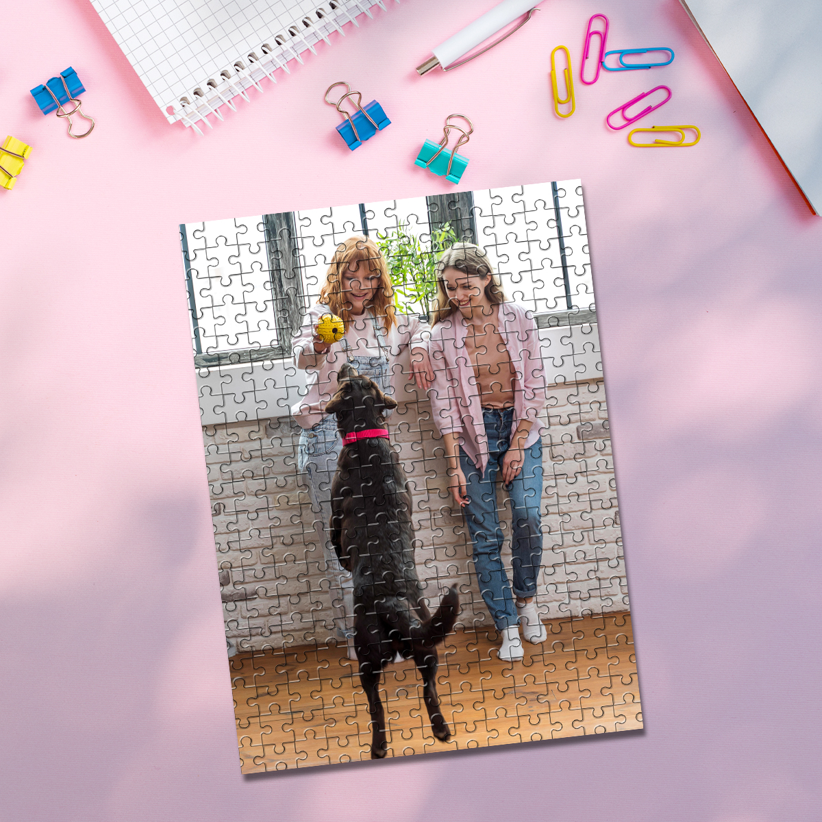 35/150/300/500/1000pcs Persona - Pet Portrait Custom recensione e prezzo