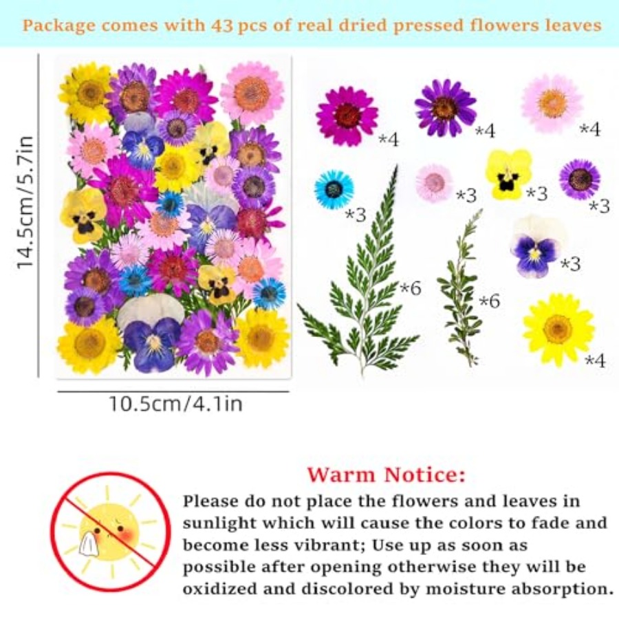 Cardstock Blank Bookmarks Set, - Dried Flower Bookmark recensione e prezzo