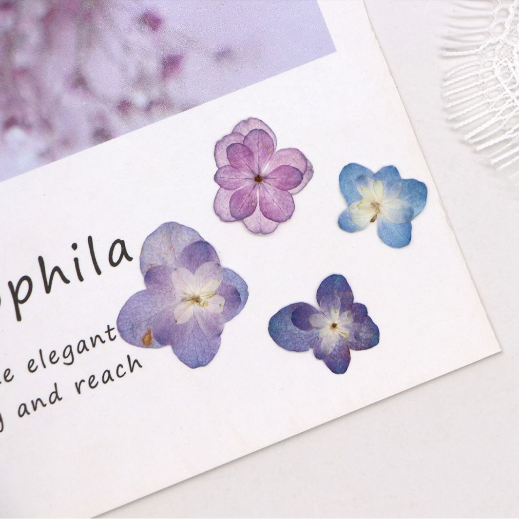 60Pcs Mini Double-Flowered Hyd - Dried Flower Bookmark recensione e prezzo