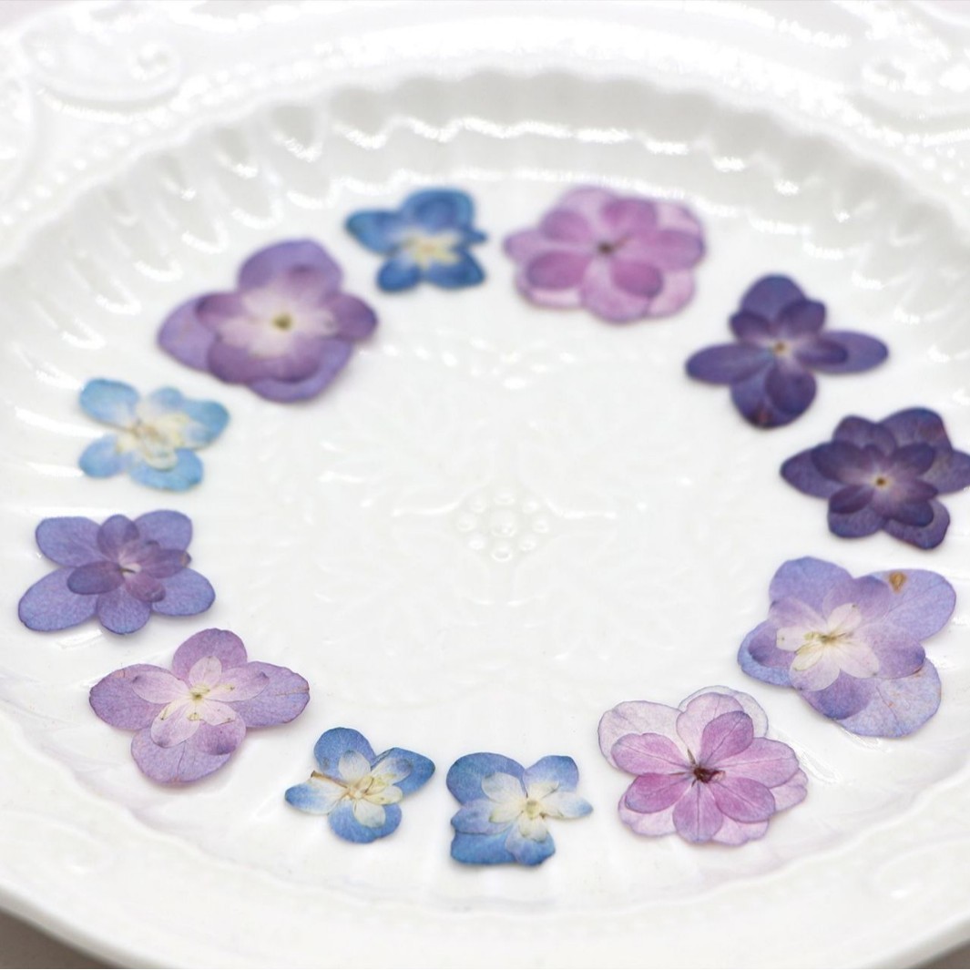 60Pcs Mini Double-Flowered Hyd - Dried Flower Bookmark recensione e prezzo