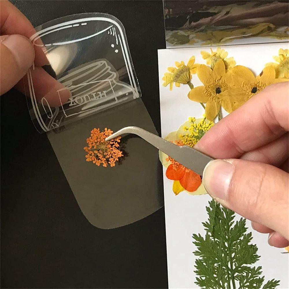 30Pcs Transparent Dried Flower - Dried Flower Bookmark recensione e prezzo